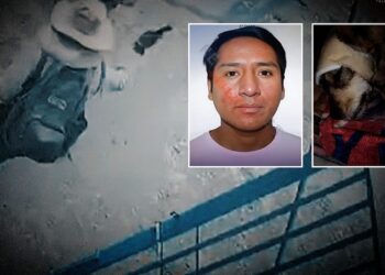 ¡Se hace justicia! Repartidor que golpeó a perrita es sentenciado a 1 año y 6 meses de prisión suspendida