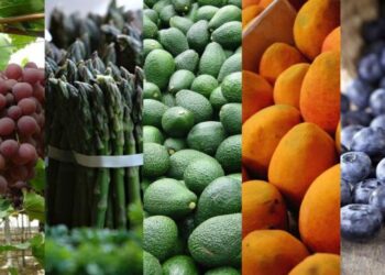 Agroindustria concentró el 44% de los empleos ligados a exportaciones en 2024
