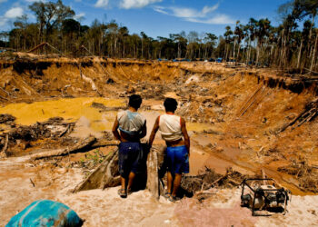 Perú: minería ilegal moviliza 40 veces más dinero que el presupuesto para las Elecciones 2026, advierten expertos