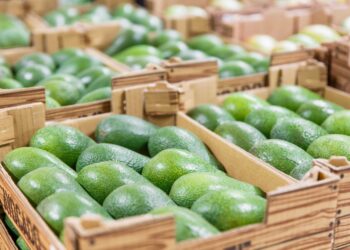 Agroexportaciones peruanas hacia EE.UU. crecieron 40% en el primer trimestre del 2025
