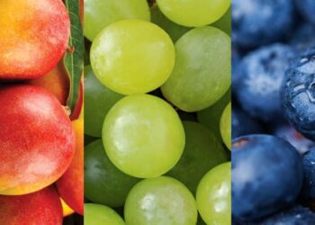 Exportaciones agroindustriales al continente asiático alcanzaron los US$ 262 millones en primer trimestre