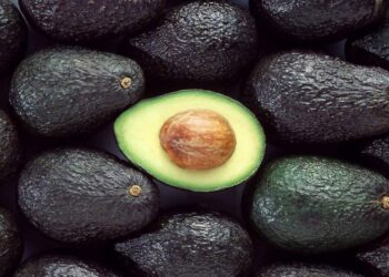 Pequeños productores lideran exportación de palta Hass desde el Perú