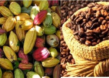 Café y cacao: precios históricos abren oportunidad para impulsar agroexportaciones peruanas