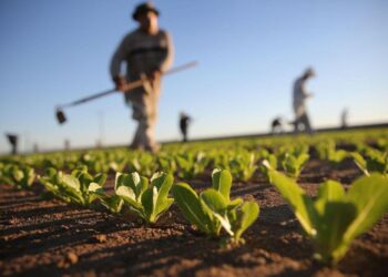 Agricultura y minería lideran innovación tecnológica en la región