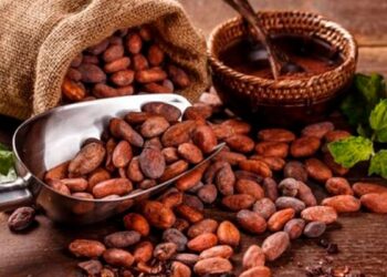 Precio del cacao cae más de 7 %, pero analistas prevén posible rebote