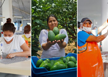 Aprueban S/1.8 millones para proyectos de innovación de mipymes