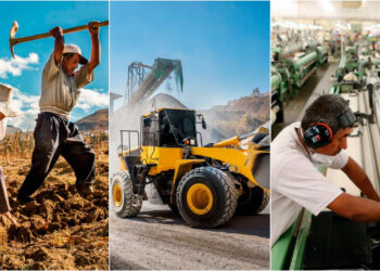 ¿Qué región creció en el primer trimestre de 2025?