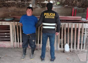 Trujillo: Servidor de la UNT detenido por crianza clandestina de gallos en instalaciones universitarias