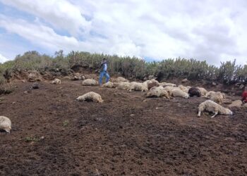 Tragedia cae del cielo: rayo mata a madre de familia y sus tres hijos en Apurímac